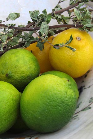 PhotoLemonsAndLimes